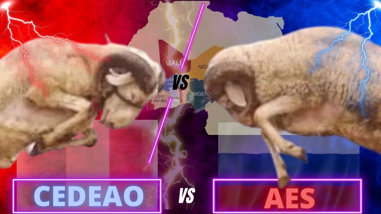 AES et CEDEAO — vers un dialogue ?